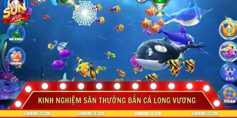 Bí kíp săn những sinh vật biển cực chuẩn cho newbie