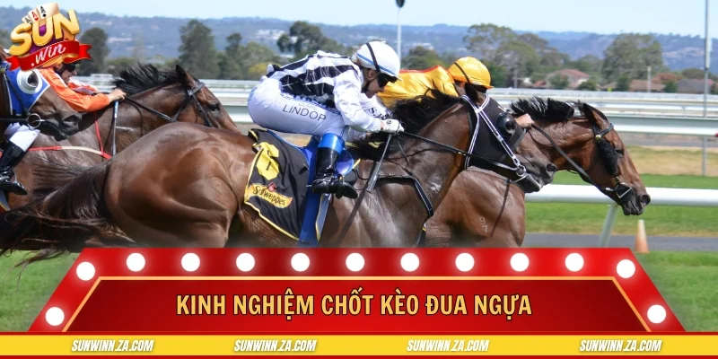 Kinh nghiệm chốt kèo đua ngựa chỉ cao thủ mới biết