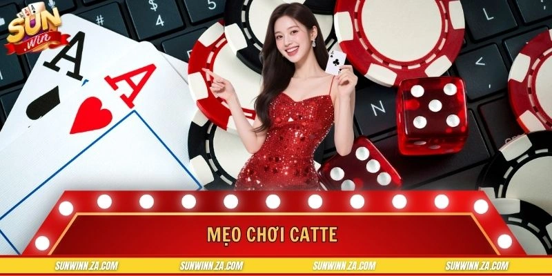 Mẹo Chơi Catte Đỉnh Cao - Bí Kíp Giúp Chinh Phục Thưởng Cao